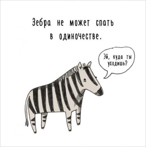 Художница придумала самый милый способ рассказать интересные факты о животных. 07