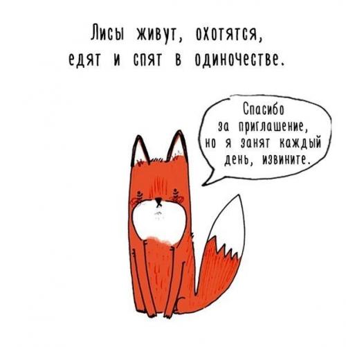 Художница придумала самый милый способ рассказать интересные факты о животных. 05