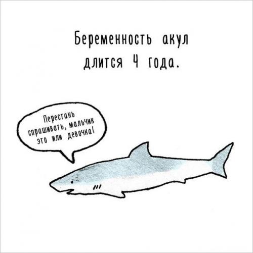 Художница придумала самый милый способ рассказать интересные факты о животных.

