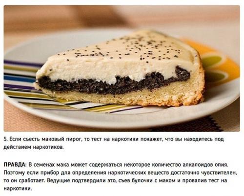 Правда или миф: 10 лучших расследований Разрушителей Легенд. 04