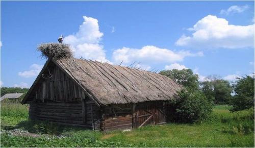 Кривичи. Данный союз восточнославянских племен сложился в 5-6 веках в верховьях Днепра, западной Двины, волги. 01 Кривичи. Данный союз восточнославянских племен сложился в 5-6 веках в верховьях Днепра, западной Двины, волги. 01