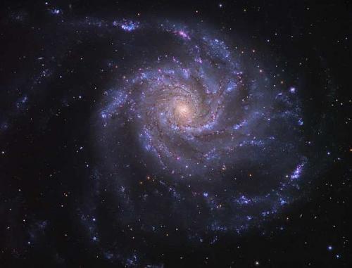 Интересные факты о созвездиях. Интересные факты о созвездии большой медведицы.