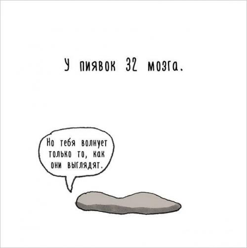 Художница придумала самый милый способ рассказать интересные факты о животных. 02