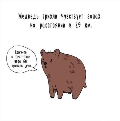 Художница придумала самый милый способ рассказать интересные факты о животных. 08