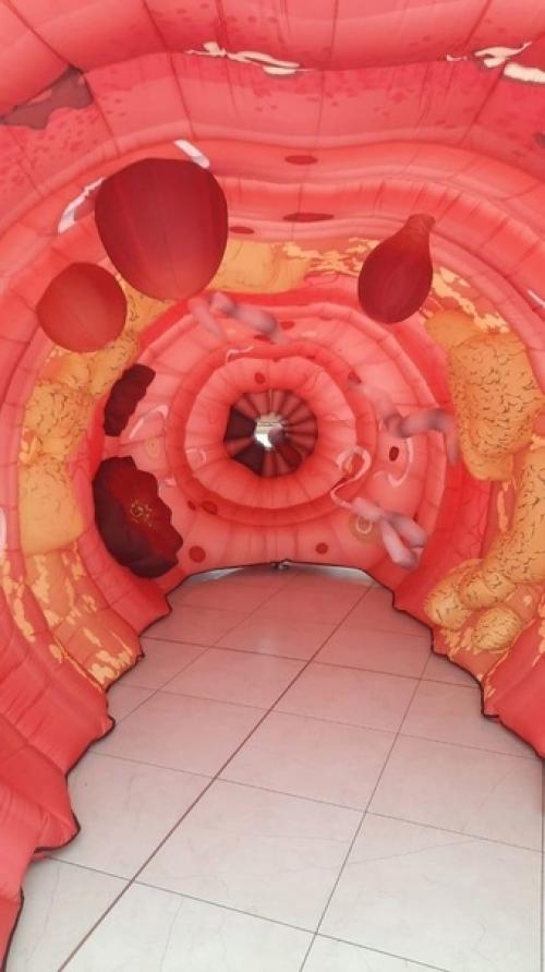 В ТЦ Veer Mall в Екатеринбурге можно насладиться неспешной прогулкой по прямой кишке и вылезти из ануса. 01