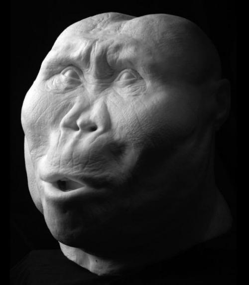 Почти 1, 85 миллиона лет назад в восточной Африке жил Paranthropus Boisei, а его знаменитый череп OH 5 нашли в 1959 году в ущелье олдувай. 02