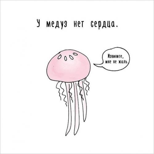 Художница придумала самый милый способ рассказать интересные факты о животных. 04