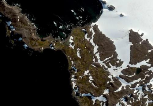 Антарктида начала покрываться зеленью - за последние 40 лет площадь Озеленения увеличилась в 10 раз. 02