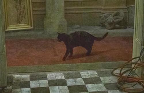 Ученые тайну дежавю раскрыли.

