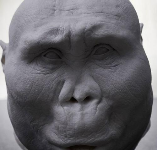 Почти 1, 85 миллиона лет назад в восточной Африке жил Paranthropus Boisei, а его знаменитый череп OH 5 нашли в 1959 году в ущелье олдувай. 01