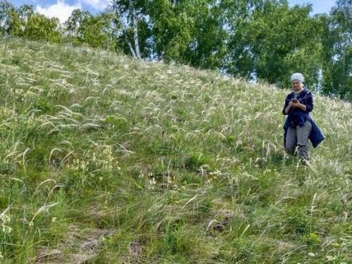 В Сибири нашли 13 видов растений, которые раньше там не росли. 01 В Сибири нашли 13 видов растений, которые раньше там не росли. 01