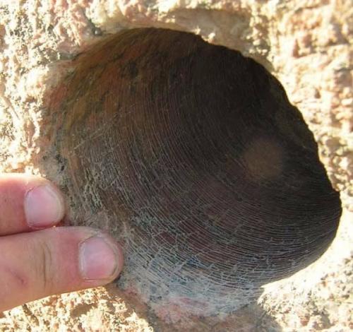 8 загадочных фактов о древнейших технологиях, которые нам до сих пор непонятны. 05