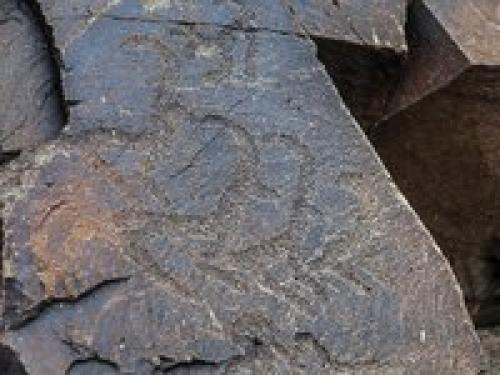 Кто хоть раз видел древние петроглифы, будет вечно к ним возвращаться. 01