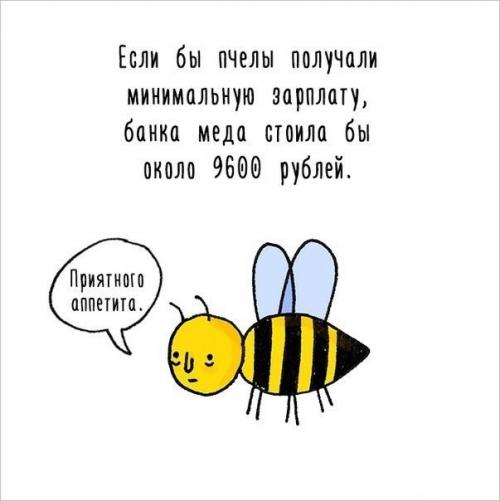 Художница придумала самый милый способ рассказать интересные факты о животных. 01