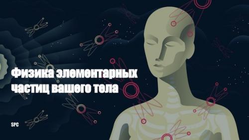 Физика элементарных частиц вашего тела.