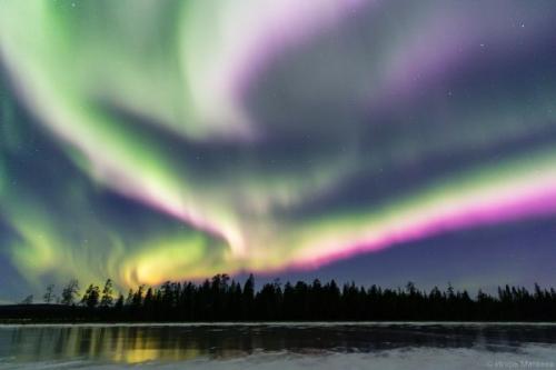 Северные сияния сегодня ночью в мурманской области от разных авторов. 01
