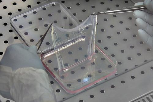 Ученые впервые смогли напечатать человеческую кожу с кровеносными сосудами, которая прошла успешные испытания на животных. 01