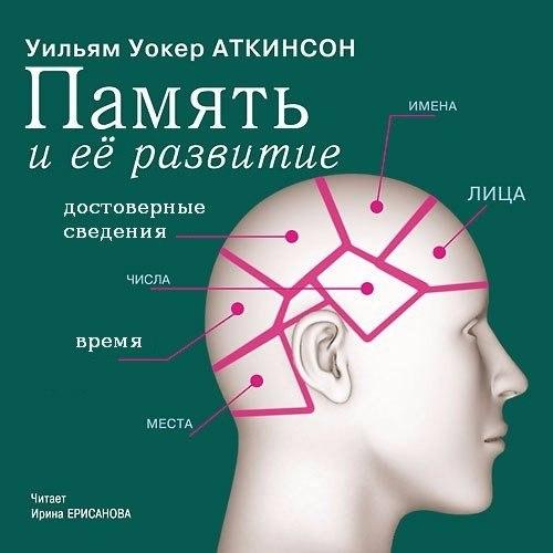 Память и ее развитие.