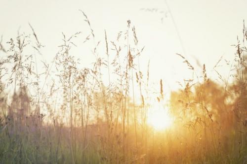 10 сценариев апокалипсиса, которые могут стать реальностью. 01