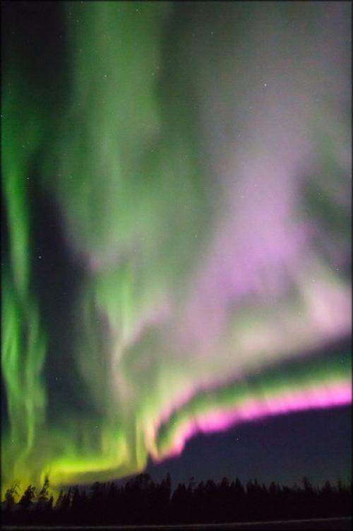 Северные сияния сегодня ночью в мурманской области от разных авторов. 03