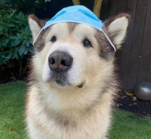 На улице или в своём авто в надетой маске находится нет смысла, вы сами себя травите! 02