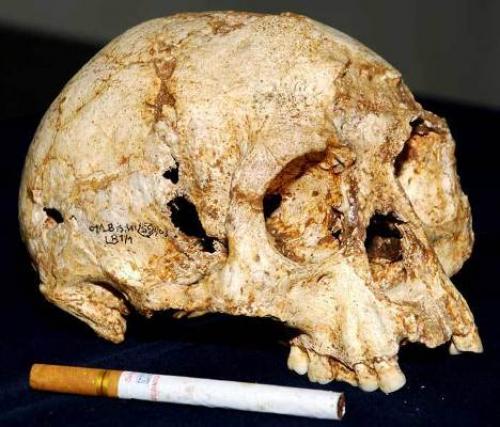 Ученые доказали, что индонезийские хоббиты были отдельным видом людей. 01 Ученые доказали, что индонезийские хоббиты были отдельным видом людей. 01