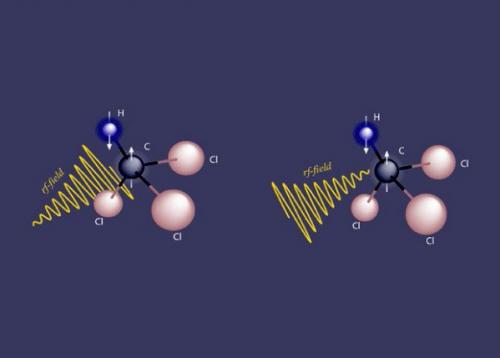 Необратимость времени увидели на квантовом уровне. Необратимость времени увидели на квантовом уровне.