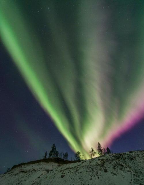 Северные сияния сегодня ночью в мурманской области от разных авторов. 07