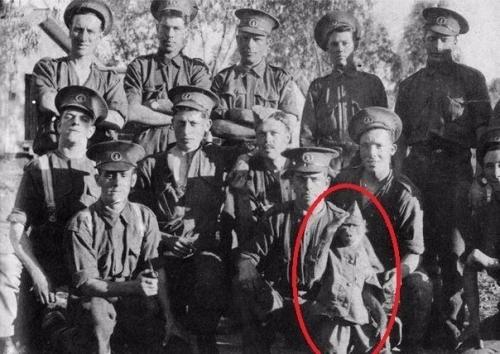 Необычный талисман.  В 1915 году, в разгар первой мировой войны, Альберт марр присягнул на верность Британии.