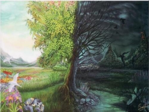 Аномалии, которым нет объяснения. Аномалии, которым нет объяснения.