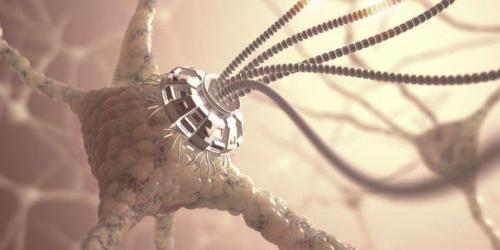 Нанороботы смогли доставить лекарства живым тараканам, повинуясь силе мысли.