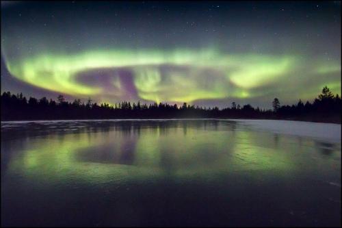 Северные сияния сегодня ночью в мурманской области от разных авторов. 05