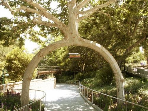 Аксель начинал как обычный фермер, у которого было хобби самому формировать стволы деревьев. 02