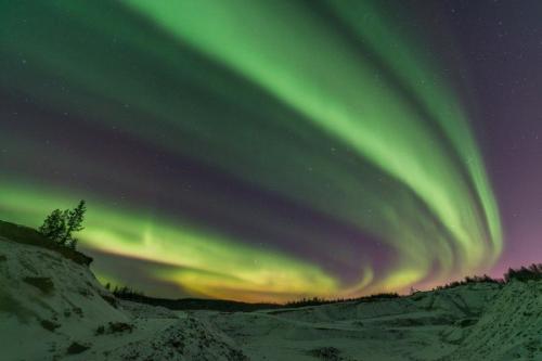 Северные сияния сегодня ночью в мурманской области от разных авторов. 08