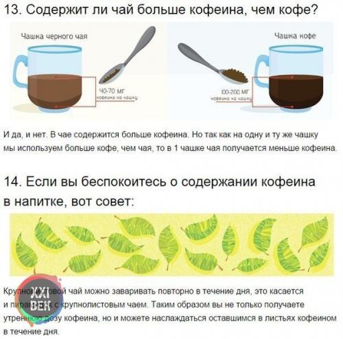 Вещи, которые вы не знали о том, как пить чай. 07