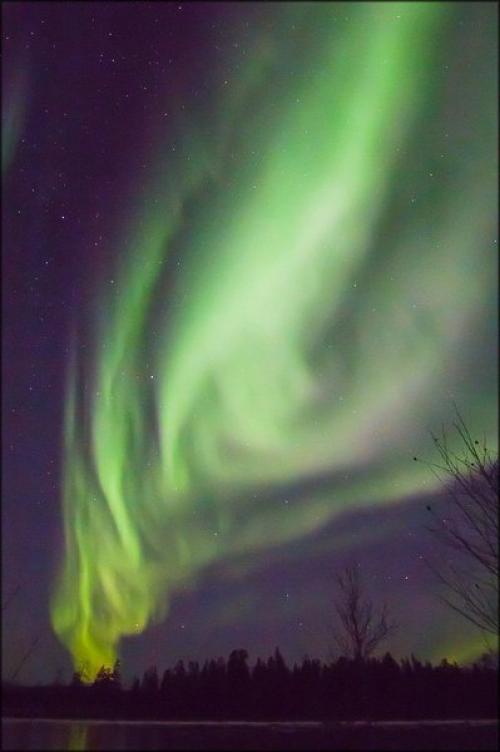 Северные сияния сегодня ночью в мурманской области от разных авторов. 04