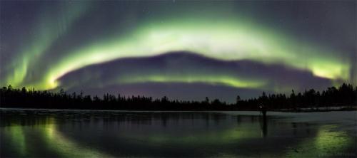 Северные сияния сегодня ночью в мурманской области от разных авторов. 02