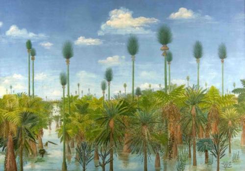 10 самых необычных и странных лесов на планете. 09 10 самых необычных и странных лесов на планете. 09