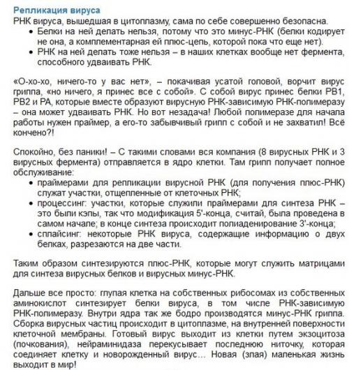 Как работает вирус гриппа. 03