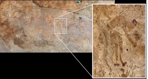 Изменение рациона древних людей - одна из причин развития цивилизации. 02