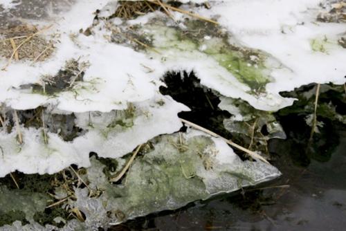 Почему снег не только белый бывает? 02 Почему снег не только белый бывает? 02