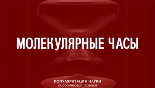 Чем больше времени отделяет два вида от той эпохи, когда жил их общий предок, тем больше различаются днк этих видов. Чем больше времени отделяет два вида от той эпохи, когда жил их общий предок, тем больше различаются днк этих видов.