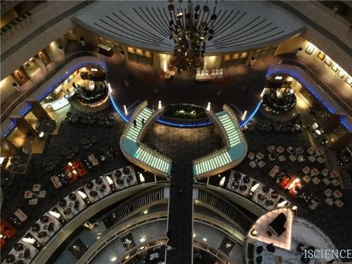 Гены, ответственные за развитие шизофрении. 03 Гены, ответственные за развитие шизофрении. 03