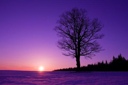 Почему снег не только белый бывает? 03 Почему снег не только белый бывает? 03