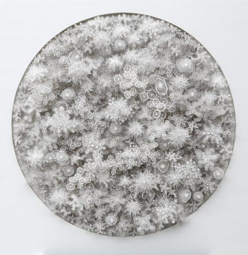 Бумажная микробиология рогана Брауна (Rogan Brown). 01