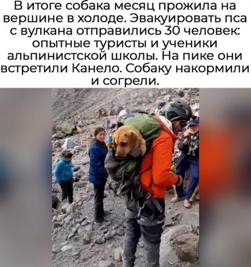 В Мексике альпинисты поднялись. 01