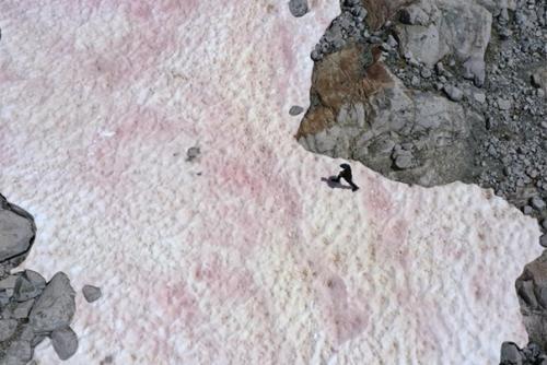 Почему снег не только белый бывает? 01 Почему снег не только белый бывает? 01