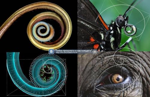 0, 1, 1, 2, 3, 5, 8, 13, 21, 34, 55, 89, 144, 233, 377, 610, 987, 1597, 2584, 4181, 6765, 10946, …. 02