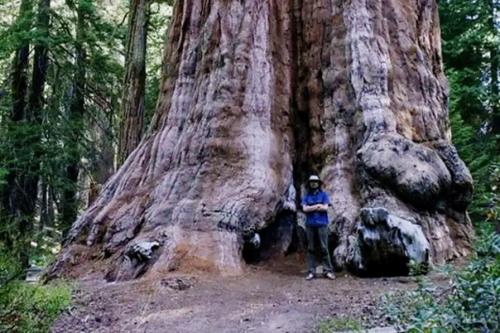 Что не так с лесами нашей планеты? 01 Что не так с лесами нашей планеты? 01