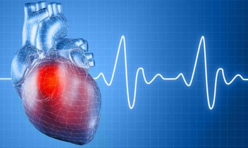 Специалисты из Новосибирска разработали ботокс, лечащий аритмию сердца.